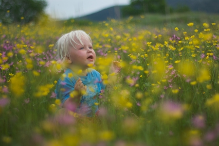 Cute Baby in a flower Field - boy, photography by magner, beautiful, cute, field, baby, flower