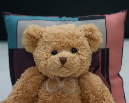 Teddy Just Chilllin - pillow, brown, portrait, fuzzy, teddy bear