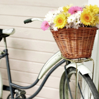 bike with flowers