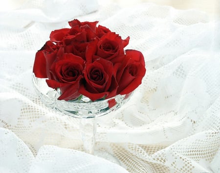 bowl of roses - roses, white, bowl, romantic, red