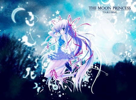 The Moon Princess - mystic, highness, princess, moon, tsukihime, miracle, anime