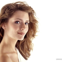 beautiful,cool