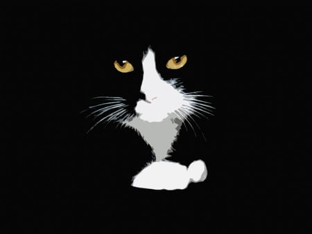 cat in black - black, cats, white, art