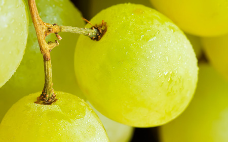 yellow grape - fruit, yellow fruit