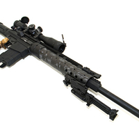 DPMS - LR 308