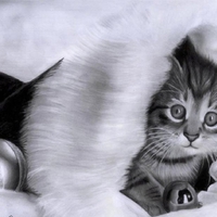 Christmas Kitty
