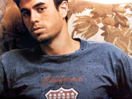 Enrique Iglesias - males, enrique iglesias, wallpaper, singer, musicians, photos