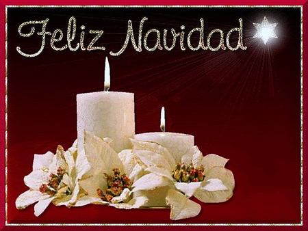 Feliz Navidad - flowers, christmas, feliz navidad, white, flames red, greeting, candles