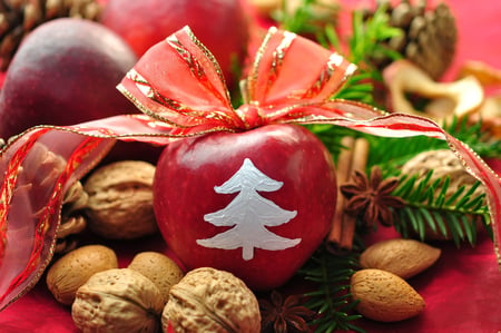 Merry Christmas - beauty, nice, almonds, photography, walnuts, cool, pretty, holiday, ribbon, tree, apple, harmony, lovely, fruit, christmas, merry christmas, red, beautiful, colors, photo