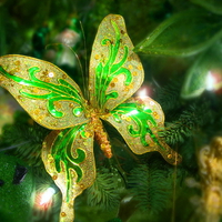 Christmas butterfly