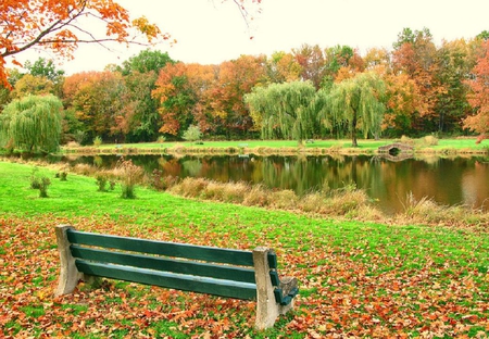 Autumn park. - colour, tree, fall, seat, autumn, lake, leaf, bridge, park