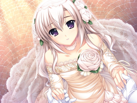 Shiratori Mizuha - wedding, sun, long hair, shiratori mizuha, bride, shine, gown, petal, white, pretty, beautiful, anime, flower, dress