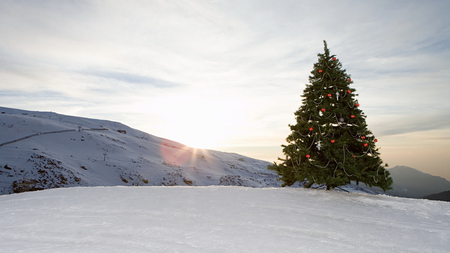 Lovely Christmas Tree - sunshine, mountain, snow, tree, lovely, christmas