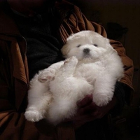 I know I'm cute...