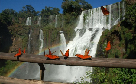 Butterflies and waterfalls. - waterfall, rainbow, butterfly, fence