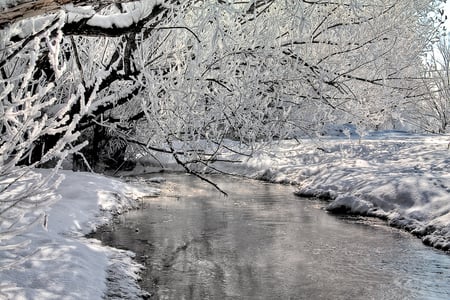 Frozen river - trees, image, snow, landscape, beauty, reflection, river, ice, frozen, white, nature, view, cold