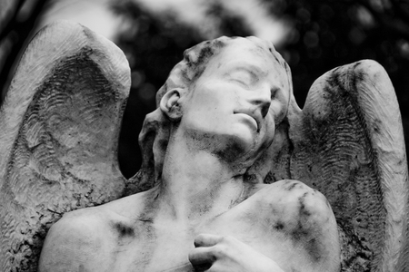 Ecstasy - wings, angel, ecstasy, statue