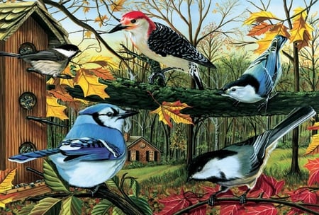 Blue jay and friends. - bird, blue jay, leaf, perch, tree, birdhouse