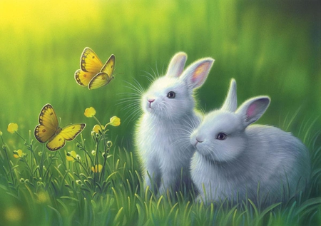 Fascinated. - rabbit, butterfly, insect, flower, bunny