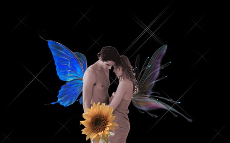 â€áƒ¦*â€¢*â–â€ simple art â€áƒ¦*â€¢*â–â€ - wings, love, wp, butterfly