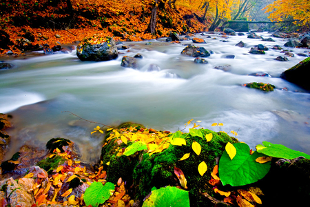 autumn-lake - leafs, nature, autumn, lake, colors