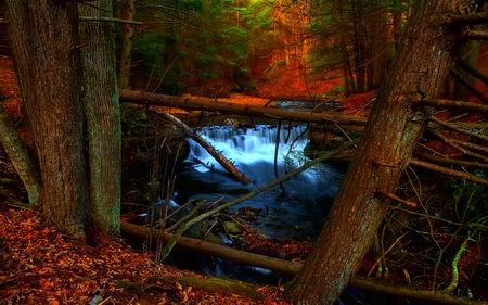 Peek at the Creek - pretty, water, running, beautiful, creek, colorful, autumn, soft, flowing