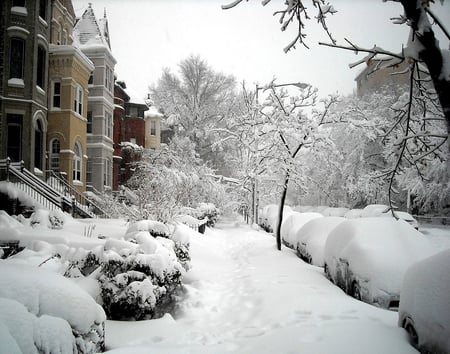 blizzard - street, winter, snow, blizzard, city