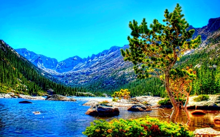 RIVER VALLEY - valley, mountain, river, tree, hdr