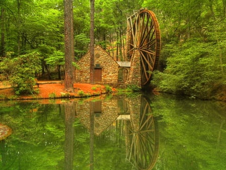 Forest mill - forest, reflection, watermill, green, mill