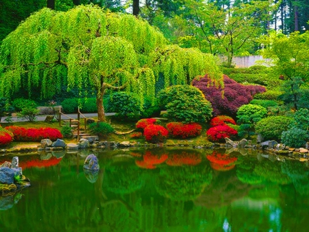 Green garden - trees, water, garden, green, lake, reflection