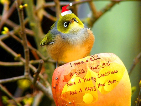 Wishing happy holidays - new year, holidays, santa claus, animal, wish, christmas, bird, happy