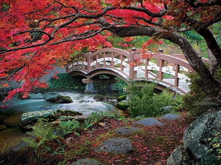 Hatley Park, Victoria, Vancouver British Columbia, Canada, - path, nature, landscape, stream, beauty, tree, bridge