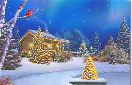 Golden celebration - stars, sky, trees, winter, night, gold, cardinal, snow, house, lights