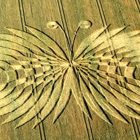 Crop Formation