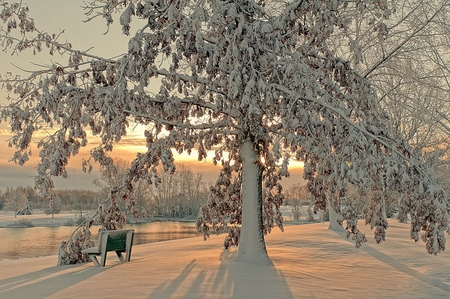 Winter-HDR - nice, beauty, season, sky, trees, photography, water, great, bench, sunset, white, amazing, view, pretty, cool, clouds, walk, river, hdr, tree, landscape, winter, lovely, nature, snow, beautiful, scenery, colors, sunrise