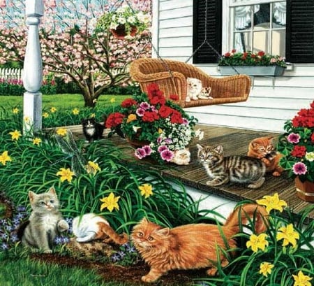 In the swing of it. - step, house, play, flower, cat, swing, porch, garden, verandah