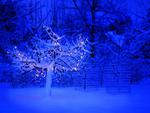 blue christmas tree