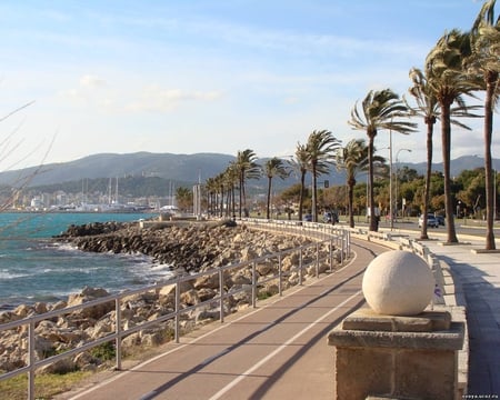 BEACH - sea, palms, architecture, modern