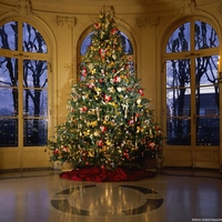 Luxuriant Christmas Tree