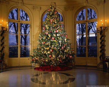 Luxuriant Christmas Tree - house, christmas, interior, tree