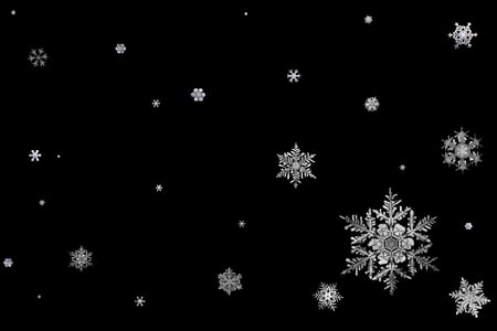 Snowflakes (snaigÄ—s) - winter, black and white, snowflake, snowflakes