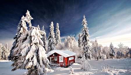 Winter Time - beauty, cottage, sky, trees, peaceful, white, view, pretty, winter time, clouds, tree, house, houses, landscape, winter, lovely, nature, snow, beautiful, splendor, cabin