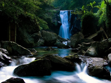 amazing-falls - water falls, trees, nature, blue, falls, jungle, rocks