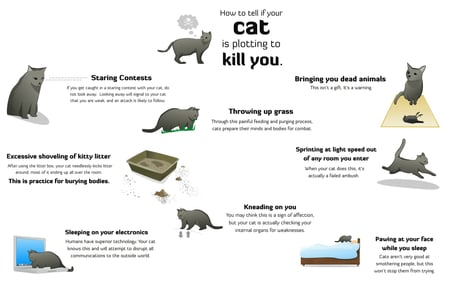 Just When You Thought You Were Safe - feline, information, chart, cat