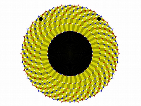 Circle Illusion - circle, picture, cool, illusion