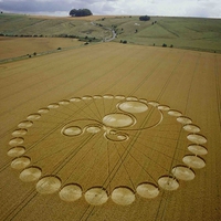 Crop Formation