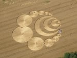 Crop Formation