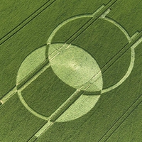 Crop Formation