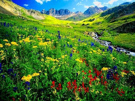 Floral mountain - summer, grass, colors, mountain, flowers, colorful, green, floral, sky