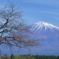 â™¥â€áƒ¦ perfect cone mountain áƒ¦â€â™¥